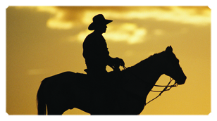 DSC700 360 BZ Cowboy Bronze